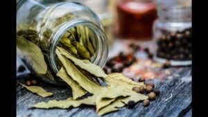 Read more about the article tejpatta bay leaf || जब फेंकना ही है तो सब्जी में डालते ही क्यों हो तेजपत्ता || why we use bay leaf in recipes || best no.1 spice of india ||