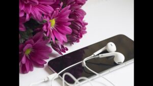Read more about the article 10 best earphones under 500 you can buy online | 500 रुपए के अंदर मिलने वाले 10 सबसे दमदार आवाज वाले इयरफोन