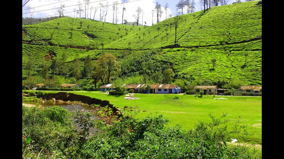 You are currently viewing Munnar || केरल का स्वर्ग मुन्नार || best no. 1 beautiful place